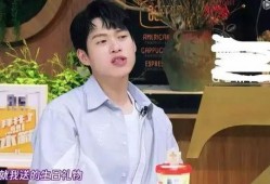 井柏然爆料娱乐圈,真实与虚幻的交织