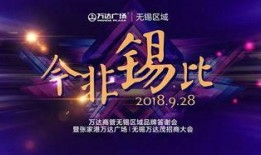 万达商管爆料视频大全集,揭秘商业帝国背后的故事