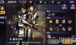 新英雄上官爆料视频,神秘面纱下的绝世风采