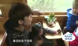 西瓜特效娱乐圈爆料,明星幕后故事大揭秘