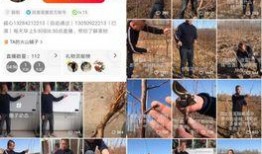 火山小视频大哥爆料,揭秘热门事件背后真相