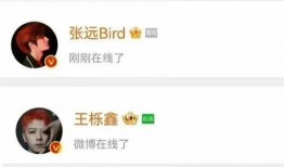 狗仔爆料明星约会视频播放,明星甜蜜约会视频引发热议