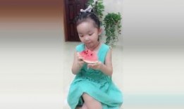 吃瓜跳舞网红,揭秘网络红人的魅力与争议