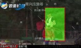 黑坑江湖 爆料视频大全,爆料视频大全深度解析