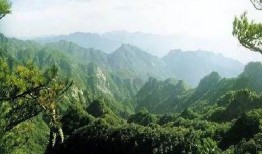 庆阳爆料风景视频播放网站,揭秘庆阳爆料风景视频网站魅力