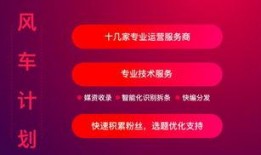 西瓜视频爆料怎么报,揭秘短视频制作背后的秘密