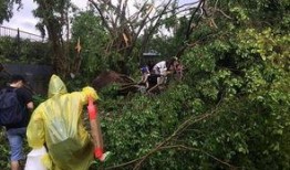 山竹最新爆料,揭秘娱乐圈惊人内幕